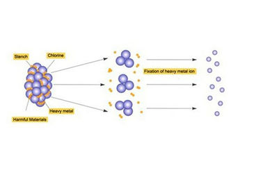 Lcd-Anzeigen-Ion reinigen Biodetox-Fuß-Badekurort mit Heizungsgurten für zwei Leute
